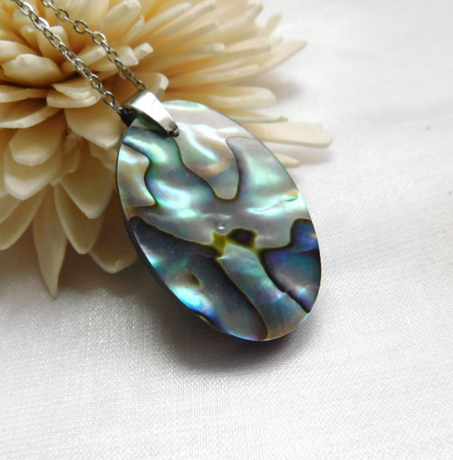 Paua mušla / abalone