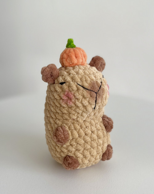 Capybara s dýničkou - roztomilé amigurumi — foto 1
