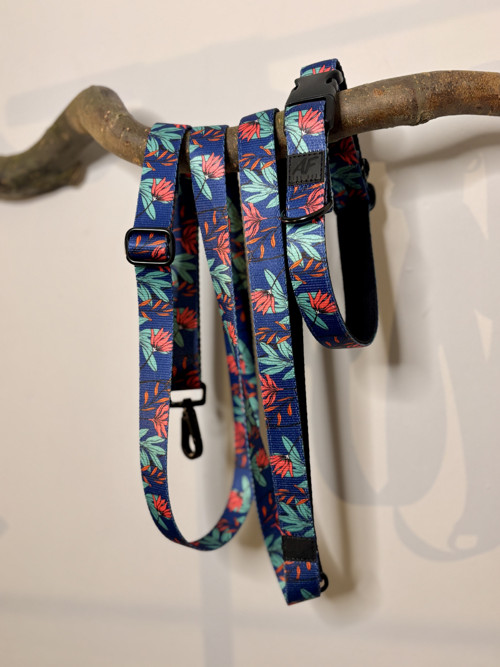 SET obojek + vodítko classic adjust Aloha