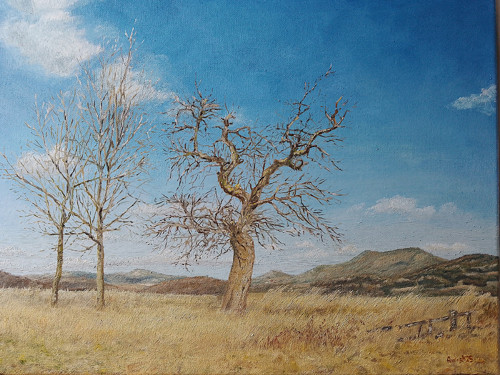 Stará jabloń-pohled Sedlo ve středohoří-40x30-olej