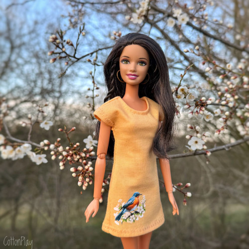 Ptáček 2 - Meruňkové šaty pro Barbie — foto 1