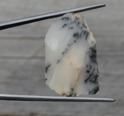 Surový opál dendritický (27 mm) V3770 — foto 1