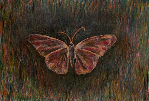 Proměna (originál)