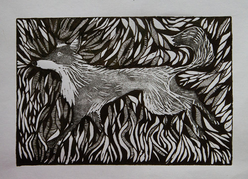 Fox in the grass