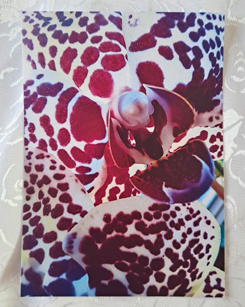 Pohlednice Orchidej 3 — foto 1