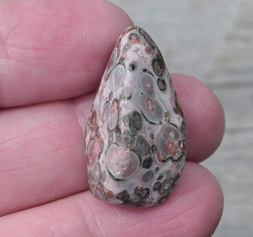 Jaspis leopardí V3780 — foto 1