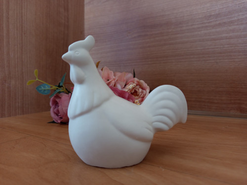 Kohoutek 3D