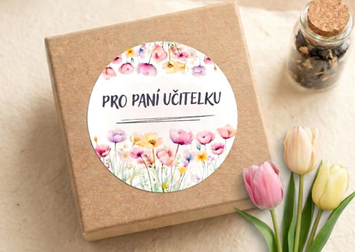 Pro paní učitelku samolepky 12 ks velké 6 cm