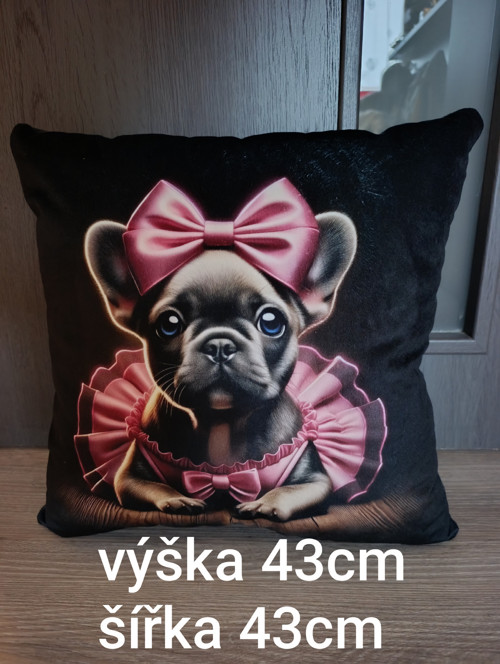 Buldočí baletka