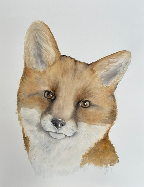 Liška - originální akvarel, 35x40 cm