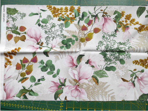 Magnolie. — foto 1