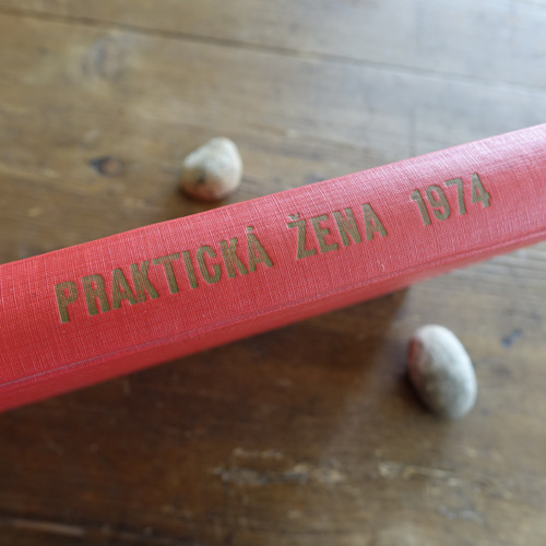 Praktická žena ... ročník 1974