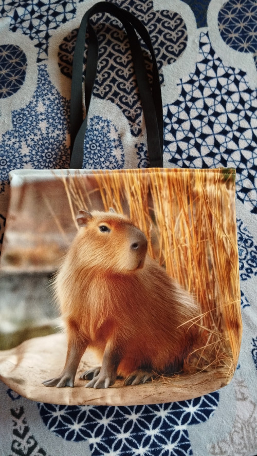 Kapybara