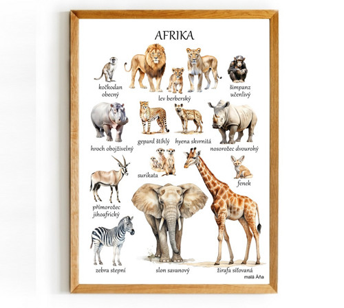 Plakát AFRIKA