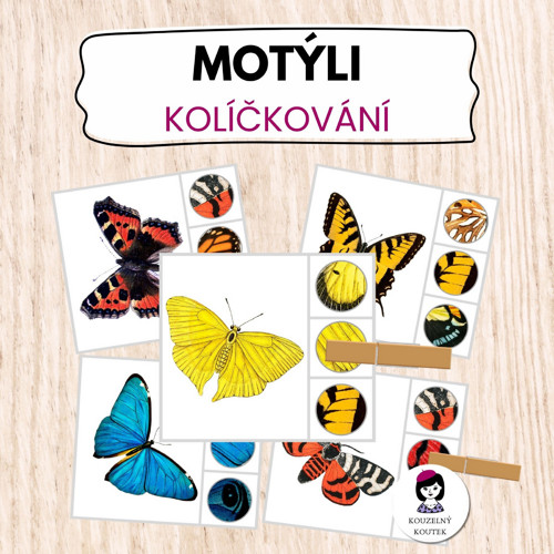 Kolíčkové kartičky s motýly| poznávání detailů