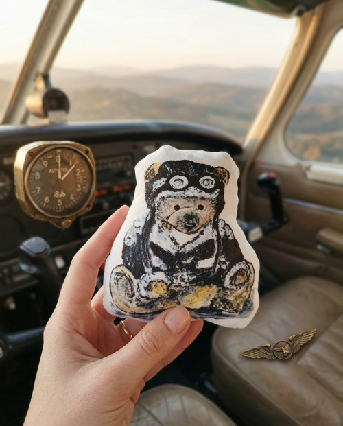 Sametový mini polštářek -pilot