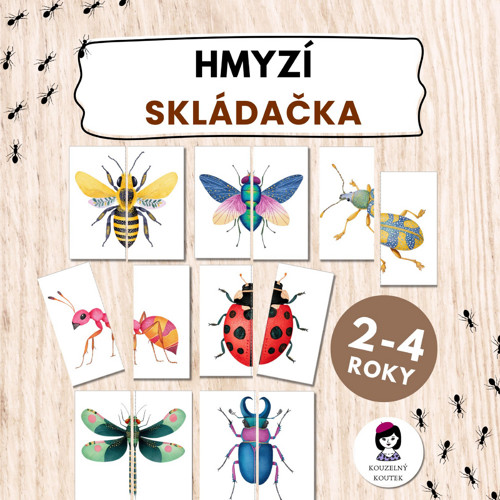 Hmyz skládačka, puzzle, hmyz, brouci