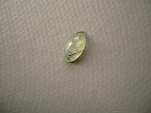 Kabošon - prehnit 12 mm, č.55Ef