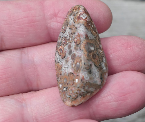 Jaspis leopardí V3876 — foto 1