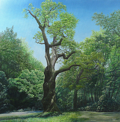 Oldřichův dub - Peruc-olej-80x80 — foto 1
