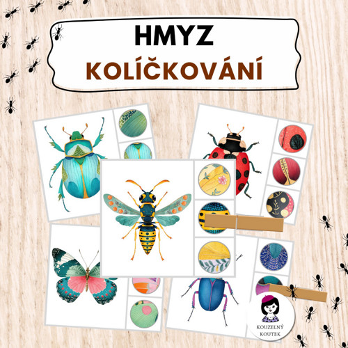 Hmyzí kolíčkové kartičky | Hmyz | Brouci