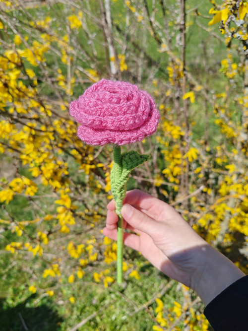 Háčkovaná věčná růže - růžová — foto 1