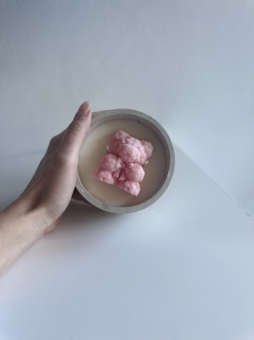 Sójová svíčka - teddy