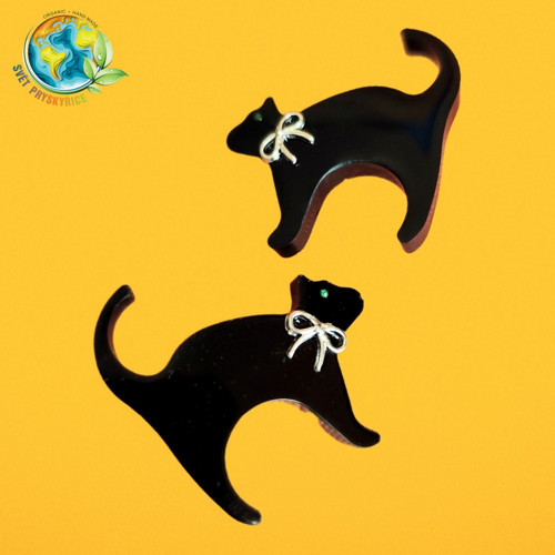 Sponky do vlasů "Black kittens"