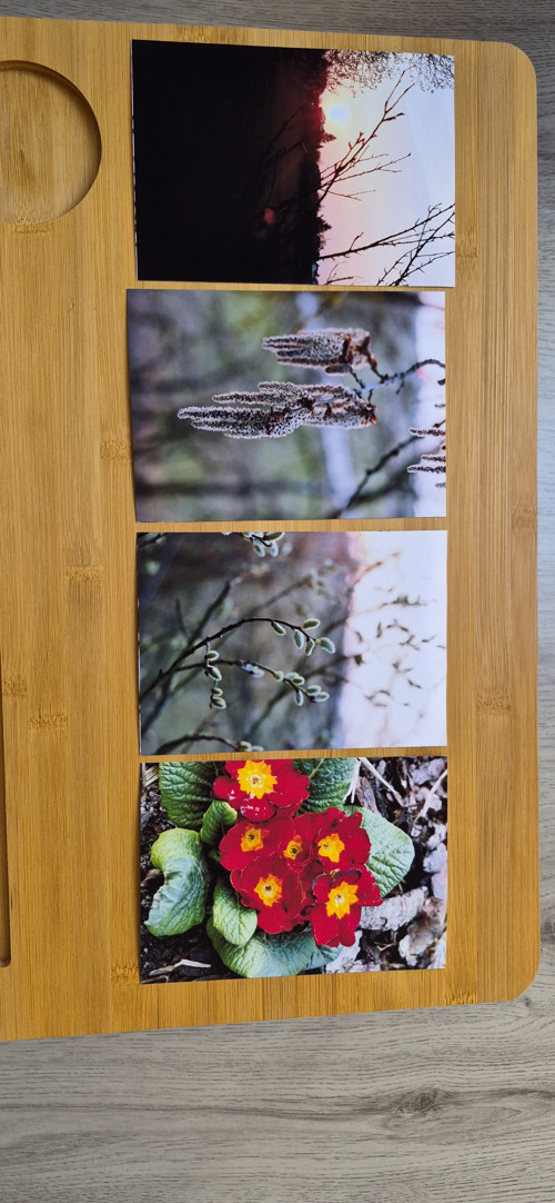 Set 4 autorských pohlednic–Jarní probuzení