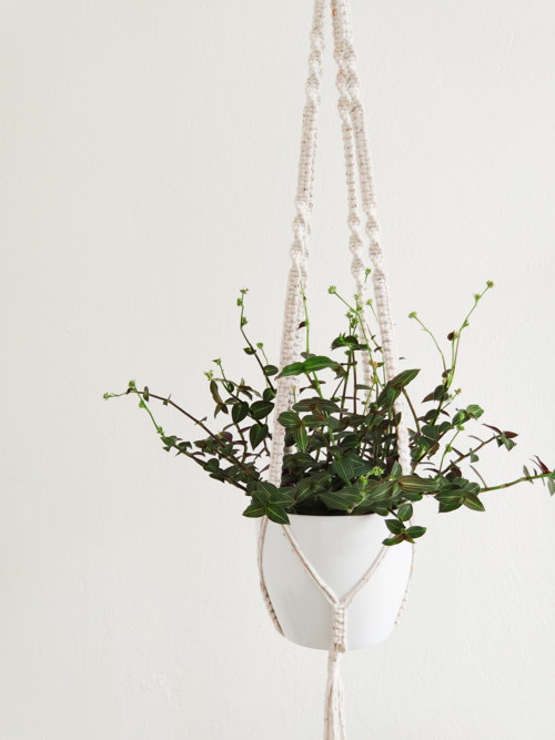 Macramé - závěs na květináč 49 s barevnými nopky