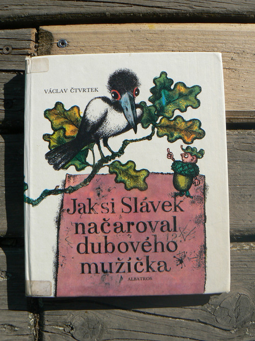 Jak si Slávek načaroval dubového mužíčka