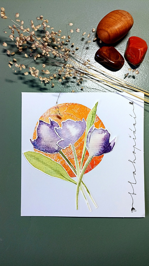 Fialové tulipány