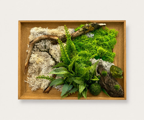 Mechová oáza 37x28cm