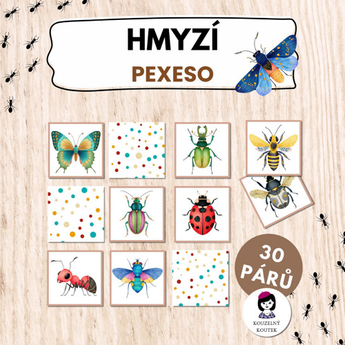Hmyzí pexeso | Hmyz | Entomologie | Brouci