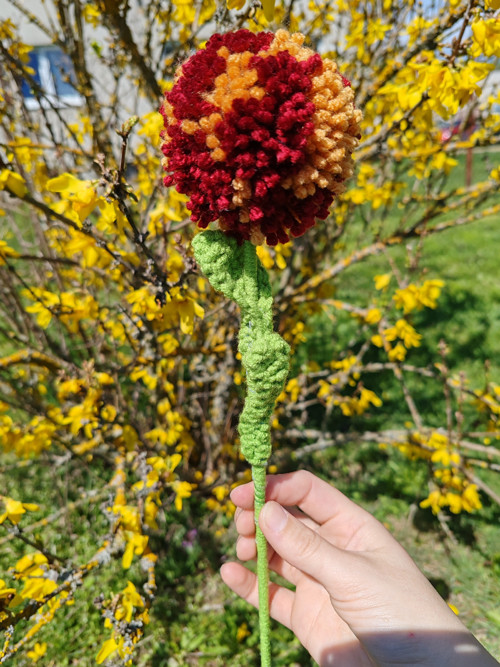 Pompom kytička