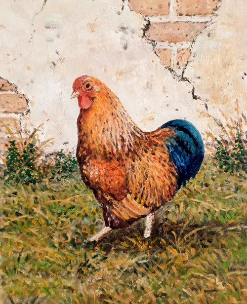Obraz " Náš pan kohout Wyandot "