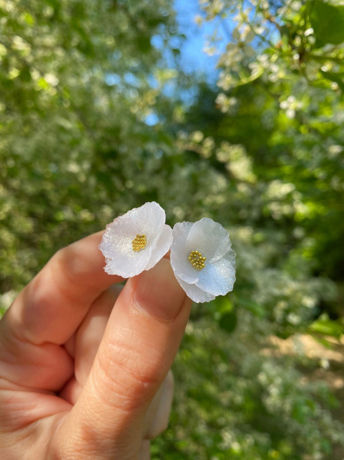 Flowers — foto 1