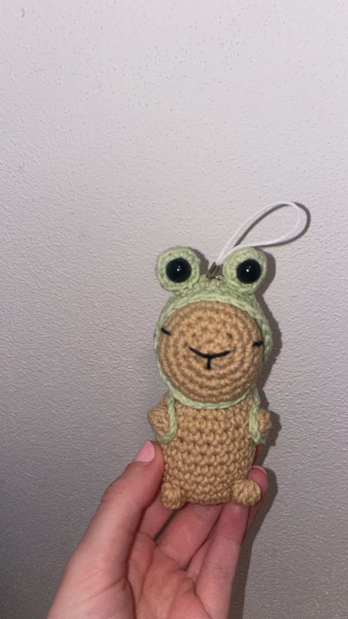 Háčkovaná Kapybara