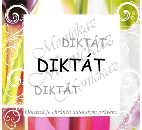 Diktát 171 ch). Razítko.