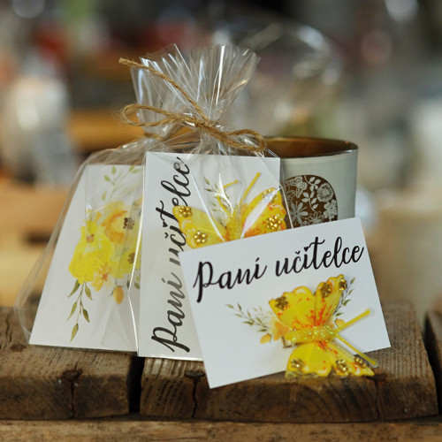 MOTÝLEK PANÍ UČITELCE žlutý