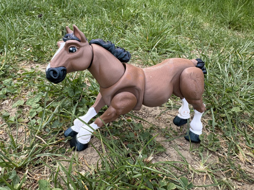 Koník