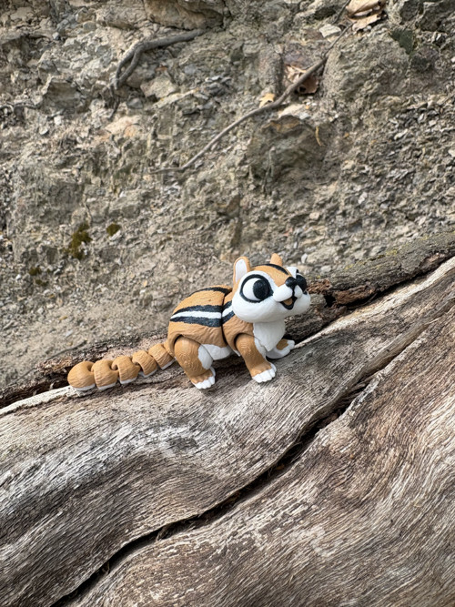 Chipmunk