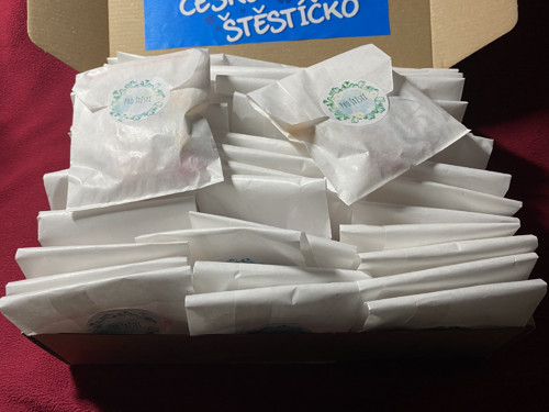 Překvapení / štěstíčko - sádrové odlitky k malován