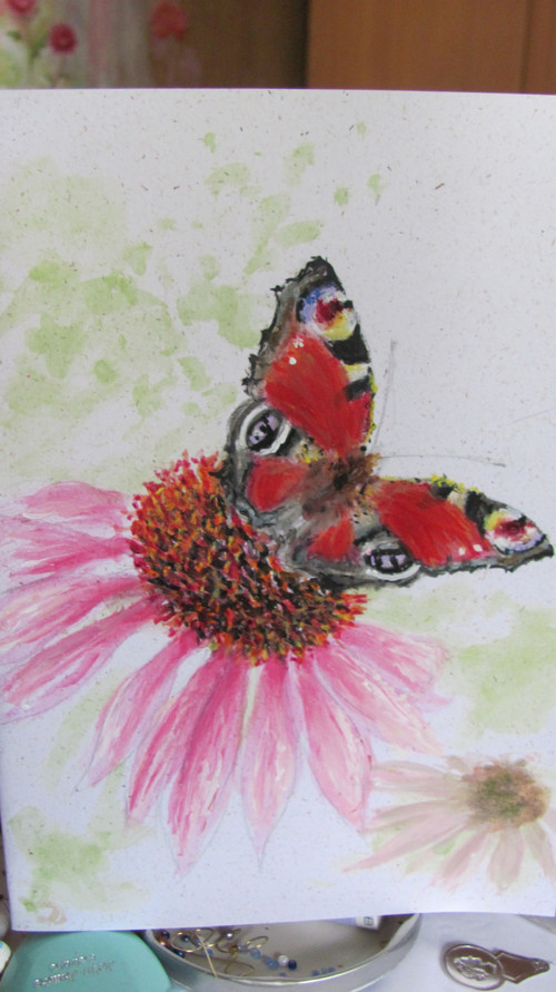 Babočka a Echinacea, malované originál přání