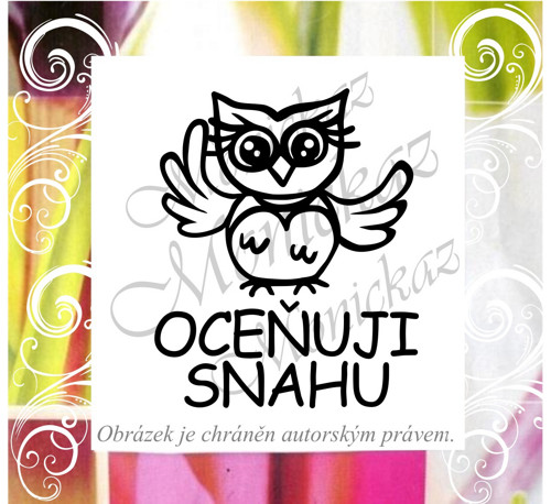 Oceňuji snahu 2371. Razítko.