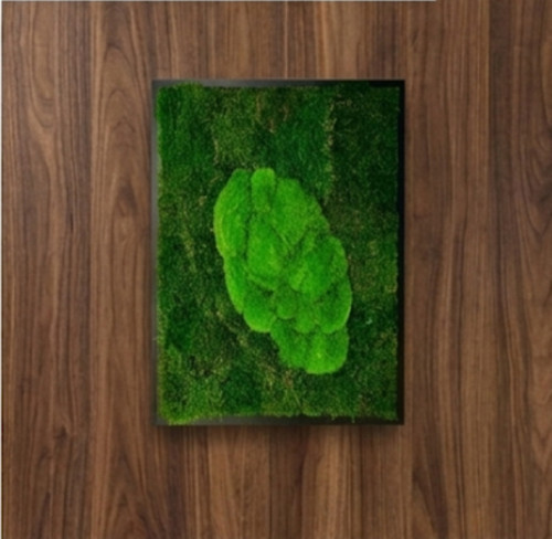 Mechový Obraz 73x53cm
