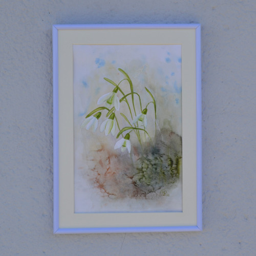 Akvarel - sněženky - 21 x 29 cm