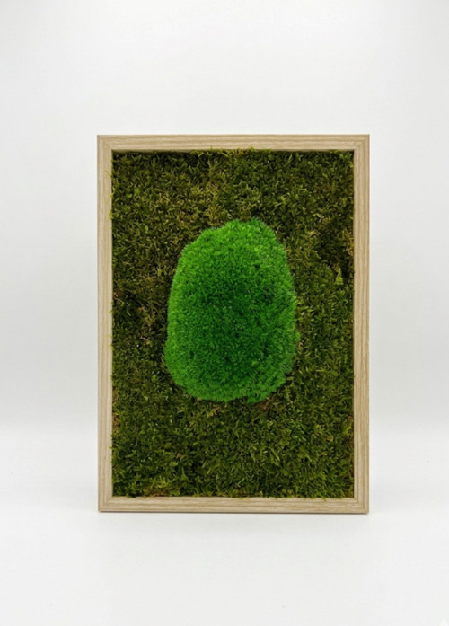 Mechový Obraz 32x23cm