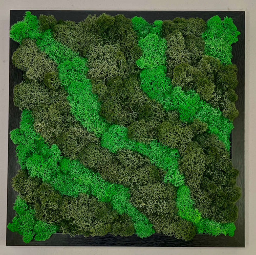 Mechový Obraz 33x33cm