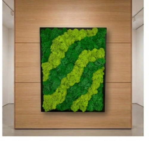 Mechový Obraz 42x32cm